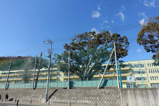 ダンススクール Ninomiya Elementary School